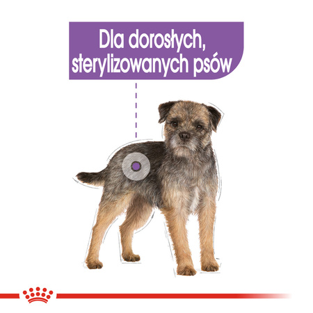Royal Canin CCN Sterilised 12x85g Karma Mokra Pasztet Dla Psów Dorosłych Sterylizowanych
