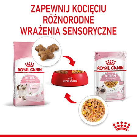 Royal Canin FHN Kitten Instinctive 12x85g Karma Mokra W Galaretce Dla Kociąt Do 12 Miesiąca Życia
