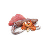 Farmina N&D Cat Ocean Tuna Squid & Shrimp 48x70g Mokra Karma Dla Kota Kalmar Tuńczyk Krewetka