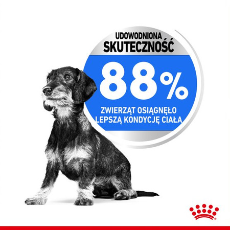 Royal Canin Mini Light Care Karma Sucha 8kg + Pasztet 12x85g Dla Psów Ras Małych Z Tendencją Do Nadwagi