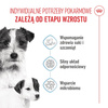 Royal Canin Mini Starter Mother & Babydog 4kg Karma Sucha Dla Suk W Ciąży I Okresie Laktacji Oraz Szczeniąt Ras Małych