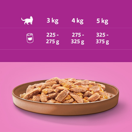 Whiskas Adult Puszka 400g Kaczka Mokra Karma W Galaretce Dla Dorosłych Kotów