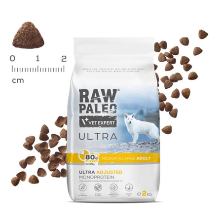 Raw Paleo Ultra Turkey Medium & Large Adult 2kg Monoproteinowa Sucha Karma Z Indykiem Dla Psa