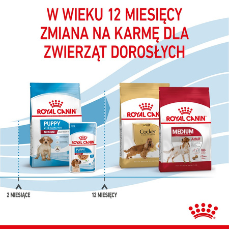 Royal Canin Shn Medium Puppy 2x4kg Karma Sucha Dla Szczeniąt Od 2 Do 12 Miesiąca Ras Średnich