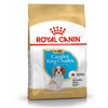 Royal Canin BHN Cavalier King Charles Spaniel Puppy 1,5kg Karma Sucha Dla Szczeniąt Do 10 Miesiąca Rasy Cavalier King Charles Spaniel