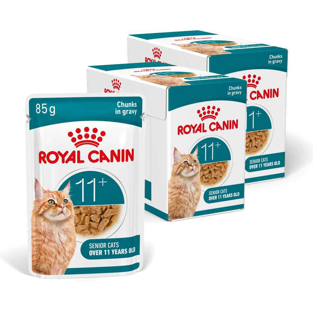 ROYAL CANIN Ageing 11+ karma mokra dla kotów dojrzałych.
