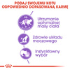 Royal Canin FHN Sterilised W Sosie i Galaretce 6x85g Mokra Karma Dla Kotów Sterylizowanych