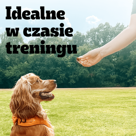 Pedigree Ranchos Cubes z Kaczką 70g Treserki Przysmak Dla Psa