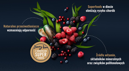 John Dog BERRY ADULT CIELĘCINA z żurawiną 6x 400g - Mokra Karma dla psów, 96% mięsa