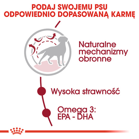 Royal Canin SHN Medium Adult Karma Sucha Dla Psów Dorosłych Ras Średnich 15+3kg