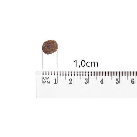 Baltica Excellent Puppy M/L 12kg Hipoalergiczna Sucha Karma z Łososiem Dla Szczeniąt Średnich i Dużych Ras