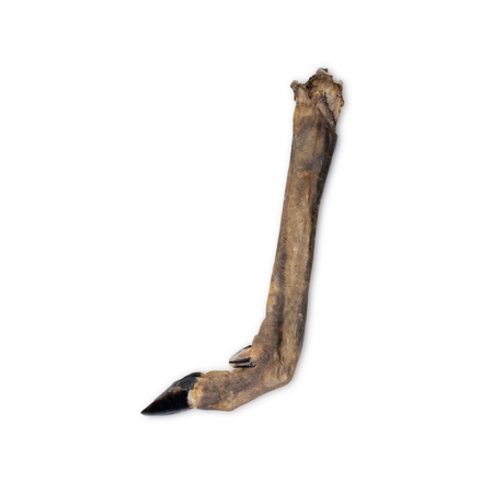 Uniszki Racica Sarny Naturalny Przysmak Gryzak Dla Psa 1szt.