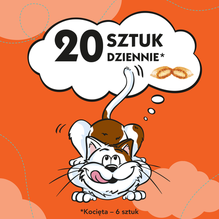 Dreamies z Pysznym Kurczakiem 6x60g (360g) Przysmaki dla kota