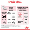 Royal Canin Fhn Kitten 10kg Karma Sucha Dla Kociąt +12x85g Mokra Karma w Sosie