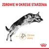 Royal Canin BHN German Shepherd Adult 5+ 12kg Karma Sucha Dla Dorosłych Psów Rasy Owczarek Niemiecki Powyżej 5 Roku Życia