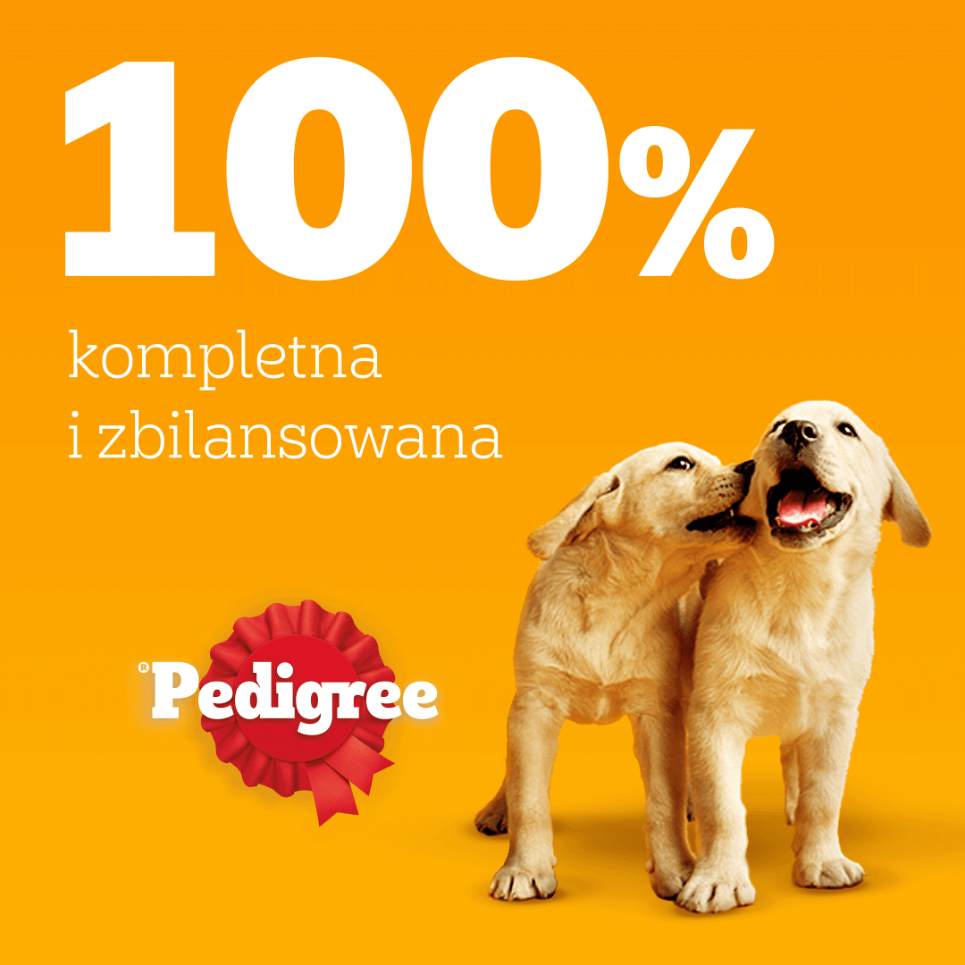 Pedigree Junior Wybór Smaków Mokra Karma