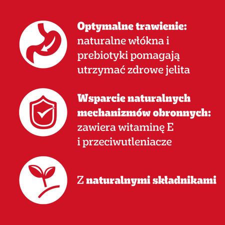 Pedigree Adult Mokra Karma Dla Psa 160x100g Wybór Smaków W Galaretce