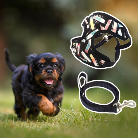 Lekkie Oddychające Szelki Bezuciskowe Dla Małego Psa + Czarna Smycz