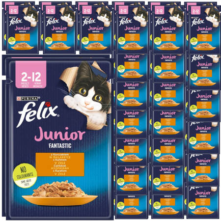 Felix Fantastic Junior Karma Dla Kociąt Kurczak W Galaretce Saszetka 48x85g