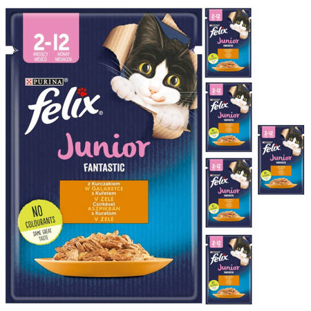 Felix Fantastic Junior Karma Dla Kociąt Kurczak W Galaretce Saszetka 6x85g