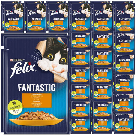 Felix Fantastic Karma Dla Kotów Kurczak W Galaretce Saszetka 48x85g