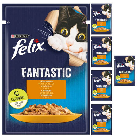 Felix Fantastic Karma Dla Kotów Kurczak W Galaretce Saszetka 6x85g