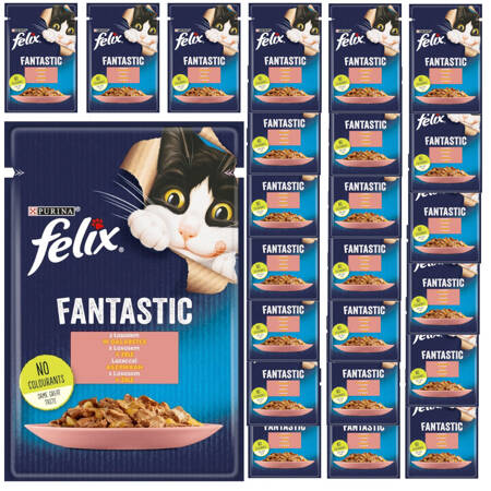 Felix Fantastic Karma Dla Kotów Łosoś W Galaretce Saszetka 24x85g