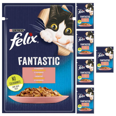 Felix Fantastic Karma Dla Kotów Łosoś W Galaretce Saszetka 6x85g