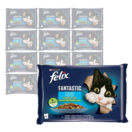 Felix Fantastic Karma Dla Kotów Rybne Smaki W Galaretce 12x340g (48x85g) Łosoś I Gładzica