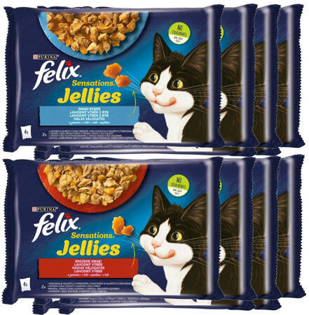 Felix Sensations Jellies Karma Dla Kotów Smaki Wiejskie i Rybne W Galaretce 12x340g (48x85g)