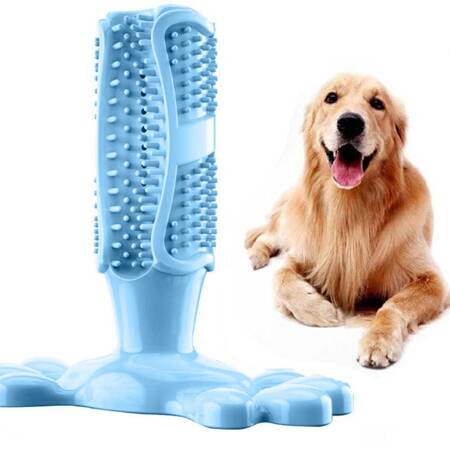 Gryzak, zabawka dentystyczna dla psa, rozmiar M, kolor Niebieski, szczoteczka do zębów