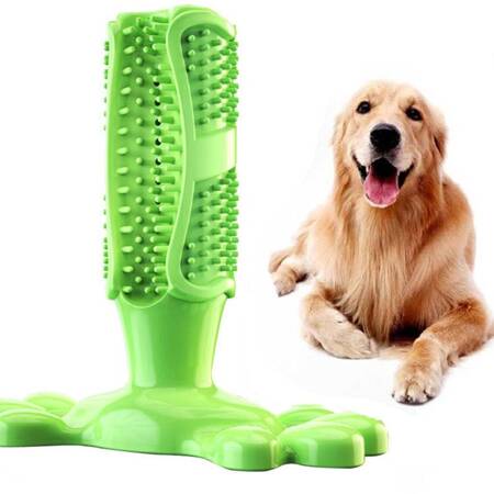 Gryzak, zabawka dentystyczna dla psa, rozmiar M, kolor Zielony, szczoteczka do zębów