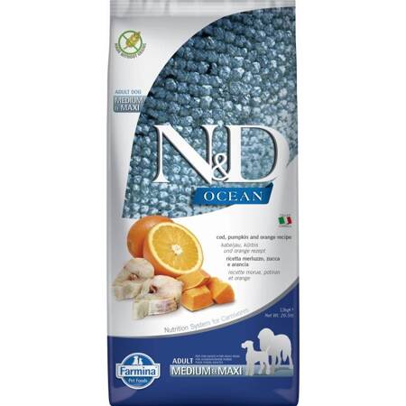 N&D Dog Ocean Codfish Pumpkin Orange Adult Medium Maxi 12KG