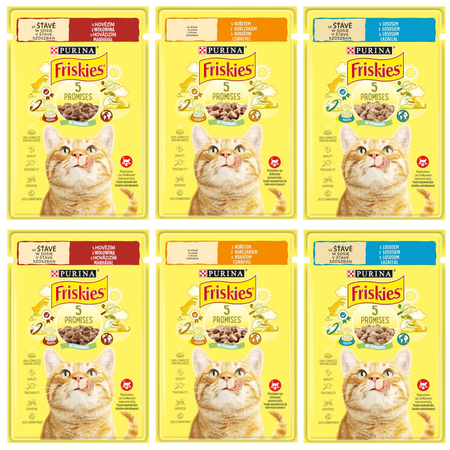 Purina Friskies Mokra Karma Dla Kota w Sosie 6x85g z Łososiem Wołowiną i Kurczakiem