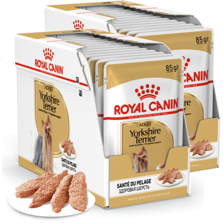 ROYAL CANIN Adult Yorkshire Terrier 24x85g Mokra Karma W Pasztecie Dla Yorka