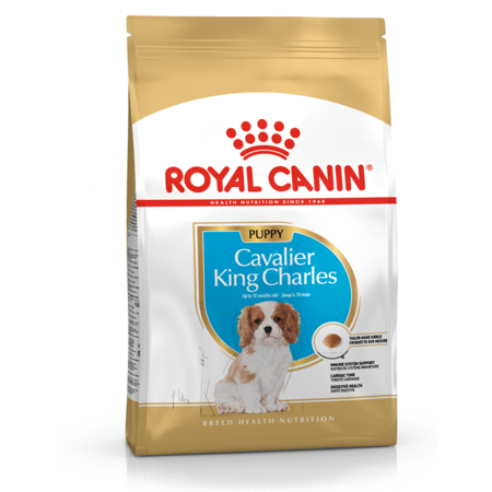 ROYAL CANIN Breed Health Nutrition CAVALIER PUPPY 1.5kg sucha karma dla szczeniąt rasy cavalier