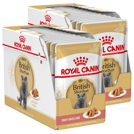 ROYAL CANIN British Shorthair 24x85g karma mokra w sosie dla kotów dorosłych rasy brytyjski krótkowłosy