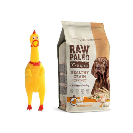 Raw Paleo Healthy Grain Adult Chicken Barley Sucha Karma Z Kurczakiem Dla Psów Dorosłych 2kg + GRATIS Zabawka