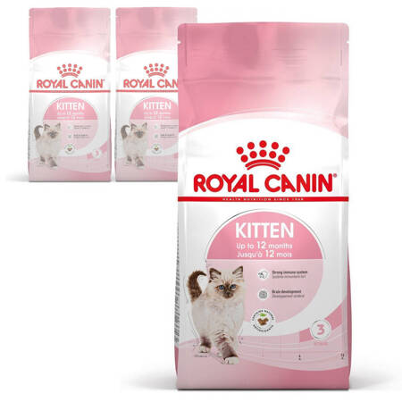 Royal Canin FHN Kitten 3x400g Karma Sucha Dla Kociąt Od 4 Do 12 Miesiąca Życia