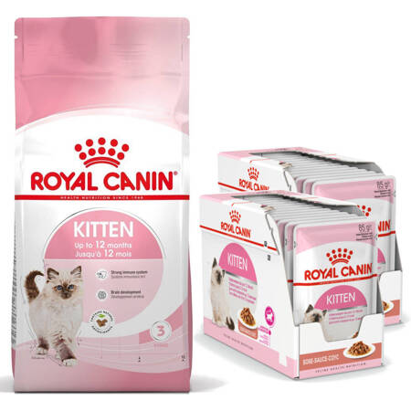 Royal Canin Fhn Kitten 10kg Karma Sucha Dla Kociąt +24x85g Mokra Karma w Sosie