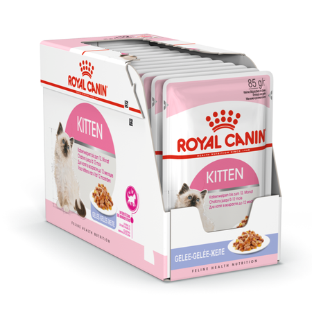 Royal Canin Kitten FHN 12x85g W Galaretce Mokra Dla Kociąt Do 12 Miesiąca Życia