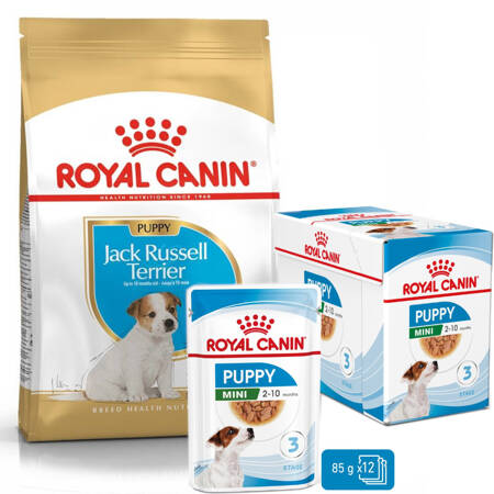 Royal Canin Puppy Jack Russell Terrier Sucha Karma Dla Szczeniąt 3kg + Mokra W Sosie 12x85g