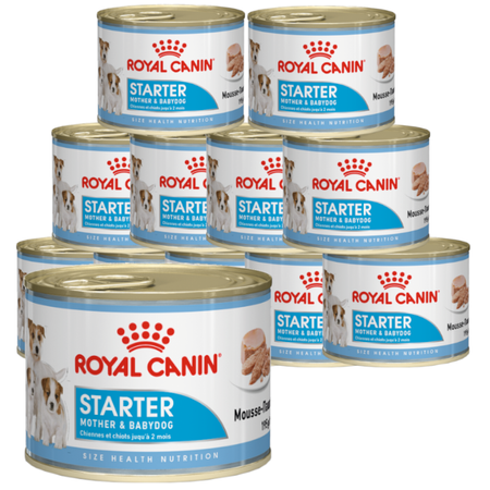 Royal Canin Starter Mousse Mother & Babydog 12x195g Karma Mokra - Mus, Dla Suk W Czasie Ciąży, Laktacji I Szczeniąt