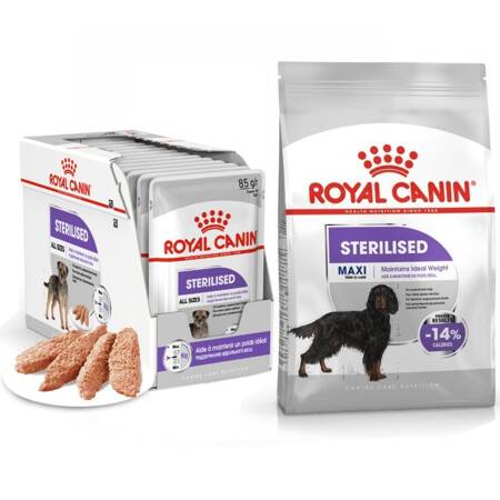 Royal Canin Sterilised Karma Sucha Maxi Dla Psów Dorosłych Ras Dużych 12kg + Mokra 12x85g