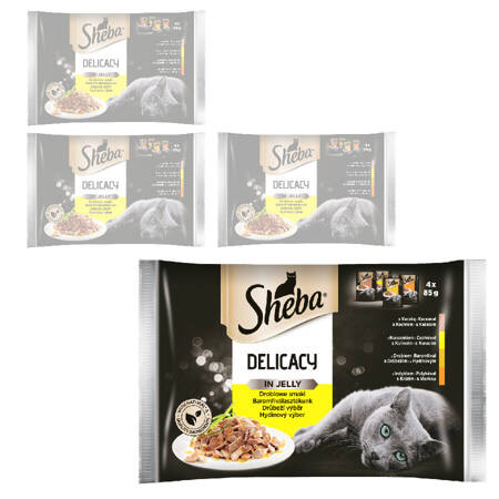 Sheba Delicacy in Jelly Smaki Drobiowe Mokra Karma Dla Kotów W Galaretce 4x340g (16x85g)