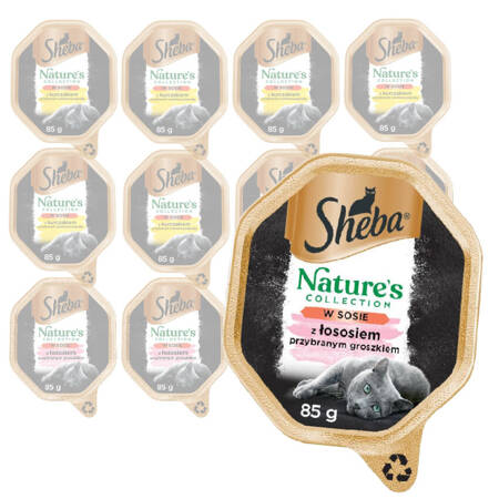 Sheba Nature's Collection Mix Smaków Łosoś I Kurczak W Sosie 12x85g Mokra Karma Dla Dorosłych Kotów