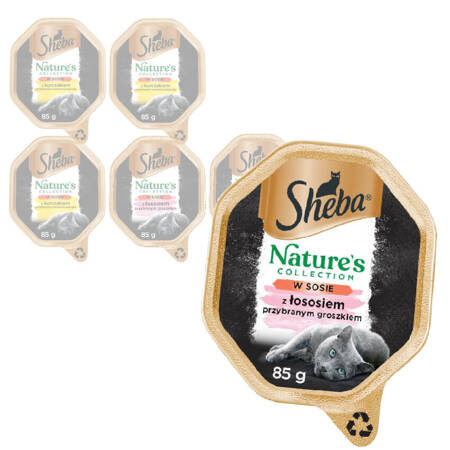 Sheba Nature's Collection Mix Smaków Łosoś I Kurczak W Sosie 6x85g Mokra Karma Dla Dorosłych Kotów