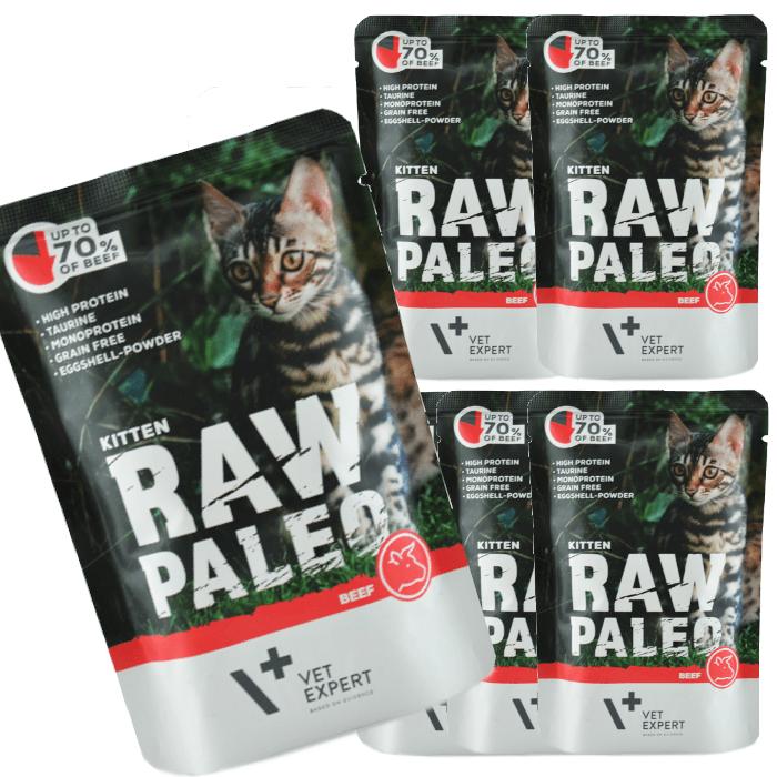 Vet Expert Raw Paleo Kitten Beef 6x100g Saszetka Karma Mokra Z Wołowiną Dla Kociąt