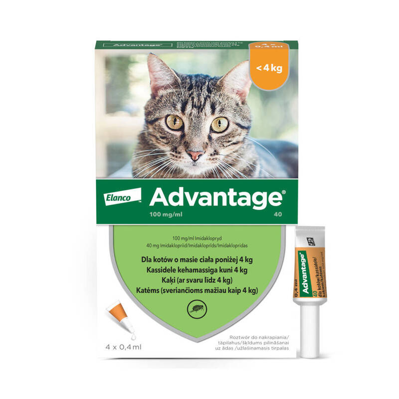 Bayer Advantage Krople Na Pchły 4x0,4ml Dla Kota Poniżej 4kg