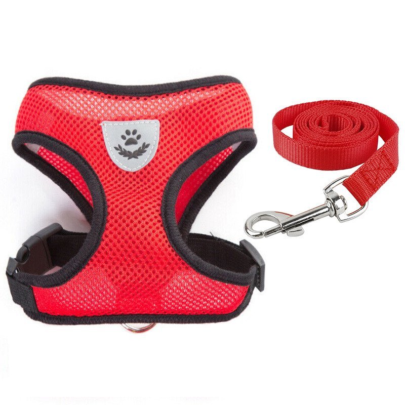 Fashion Pet Vest Harness + Leash For Dogs Red Color Breathable Mesh